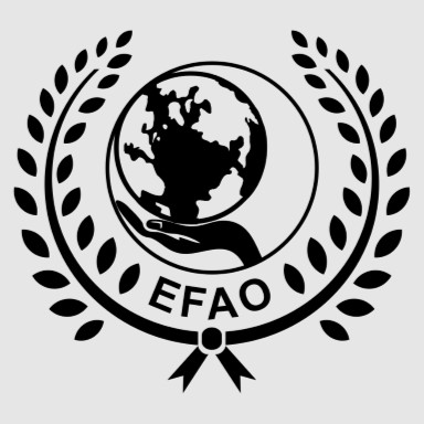 INTERNACIONAL